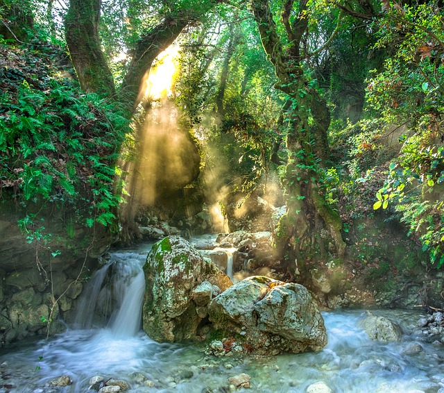 Lush Amazonian rainforest canopy with a river below
