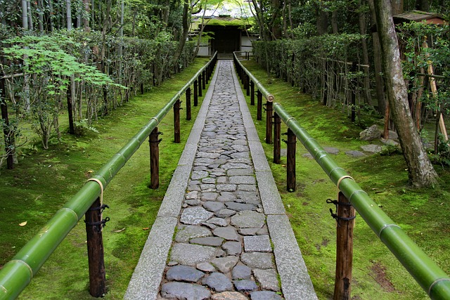 Serene Kyoto zen garden with raked gravel and green moss